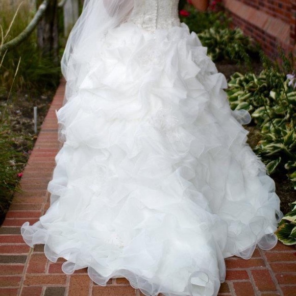 Spanish designer wedding gown with long vail. - Picture 3 of 10